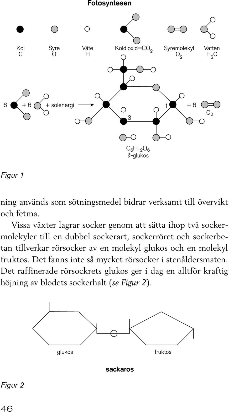 sockerbetan tillverkar rörsocker av en molekyl glukos och en molekyl fruktos.