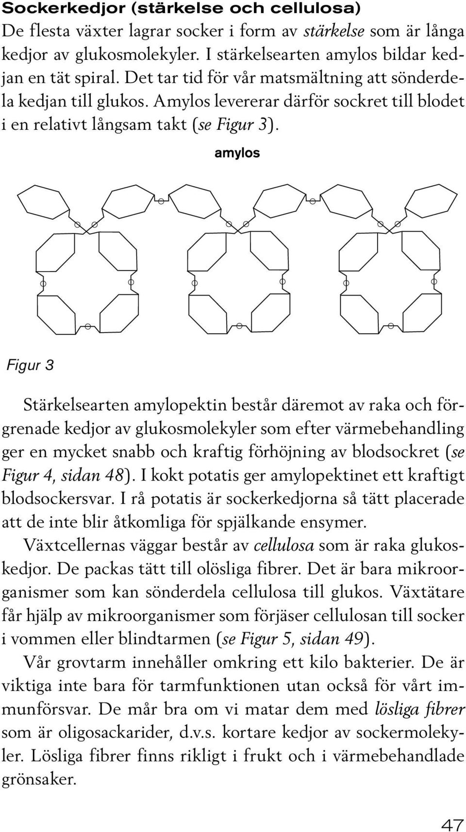 Figur 3 Stärkelsearten amylopektin består däremot av raka och förgrenade kedjor av glukosmolekyler som efter värmebehandling ger en mycket snabb och kraftig förhöjning av blodsockret (se Figur 4,