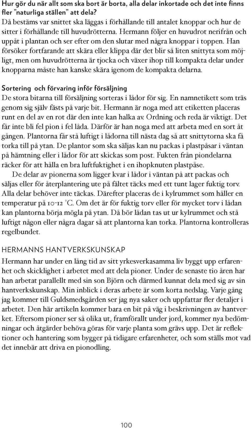 Hermann följer en huvudrot nerifrån och uppåt i plantan och ser efter om den slutar med några knoppar i toppen.