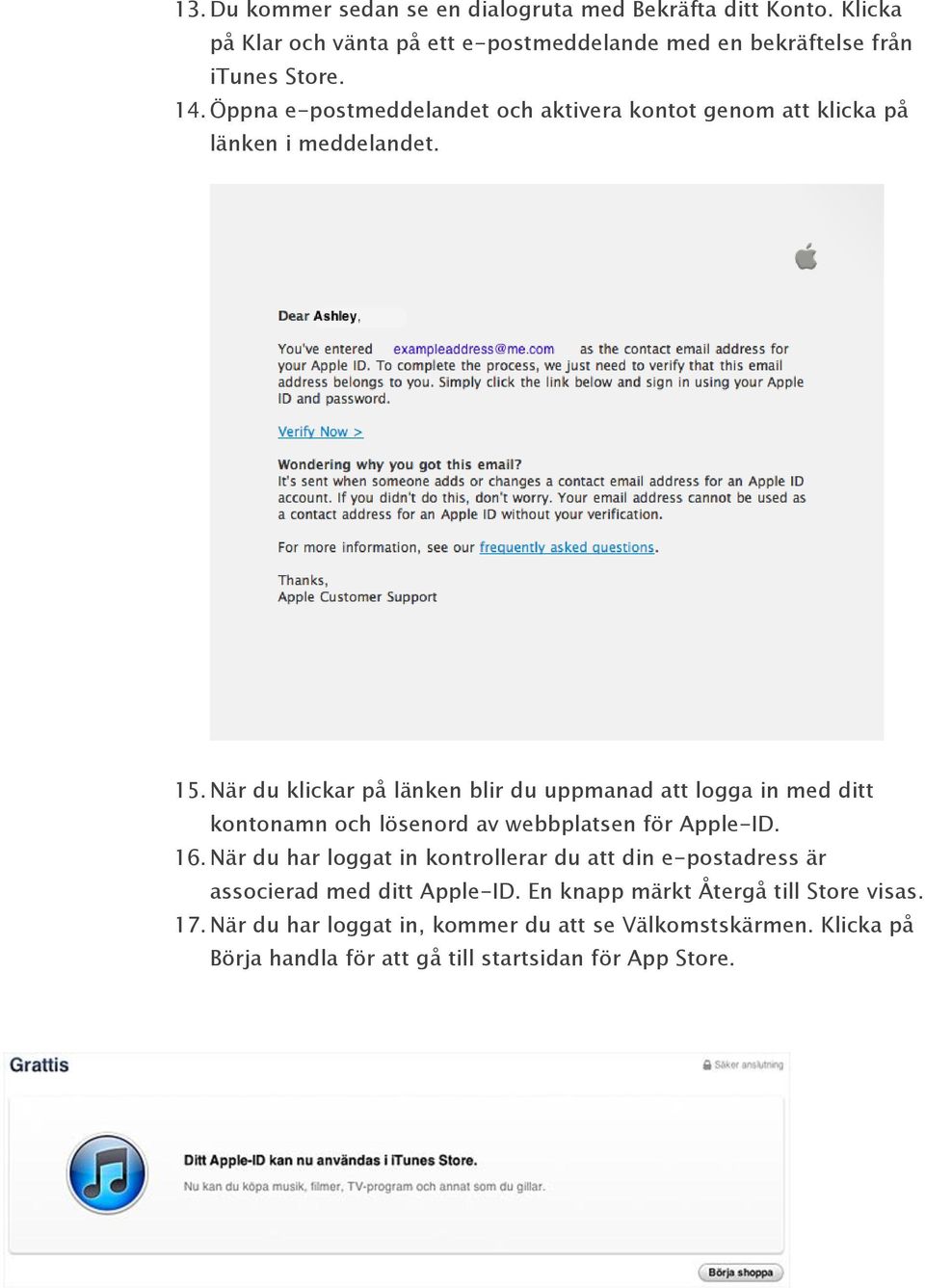 När du klickar på länken blir du uppmanad att logga in med ditt kontonamn och lösenord av webbplatsen för Apple-ID. 16.