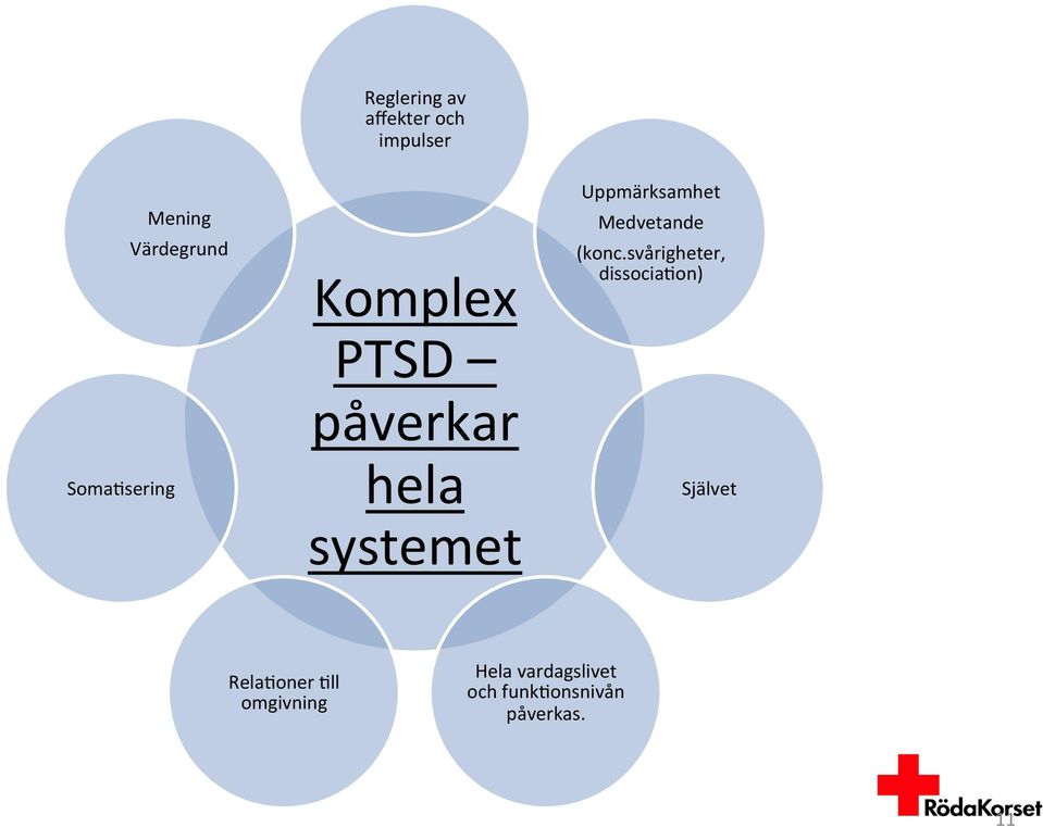 Uppmärksamhet Medvetande (konc.