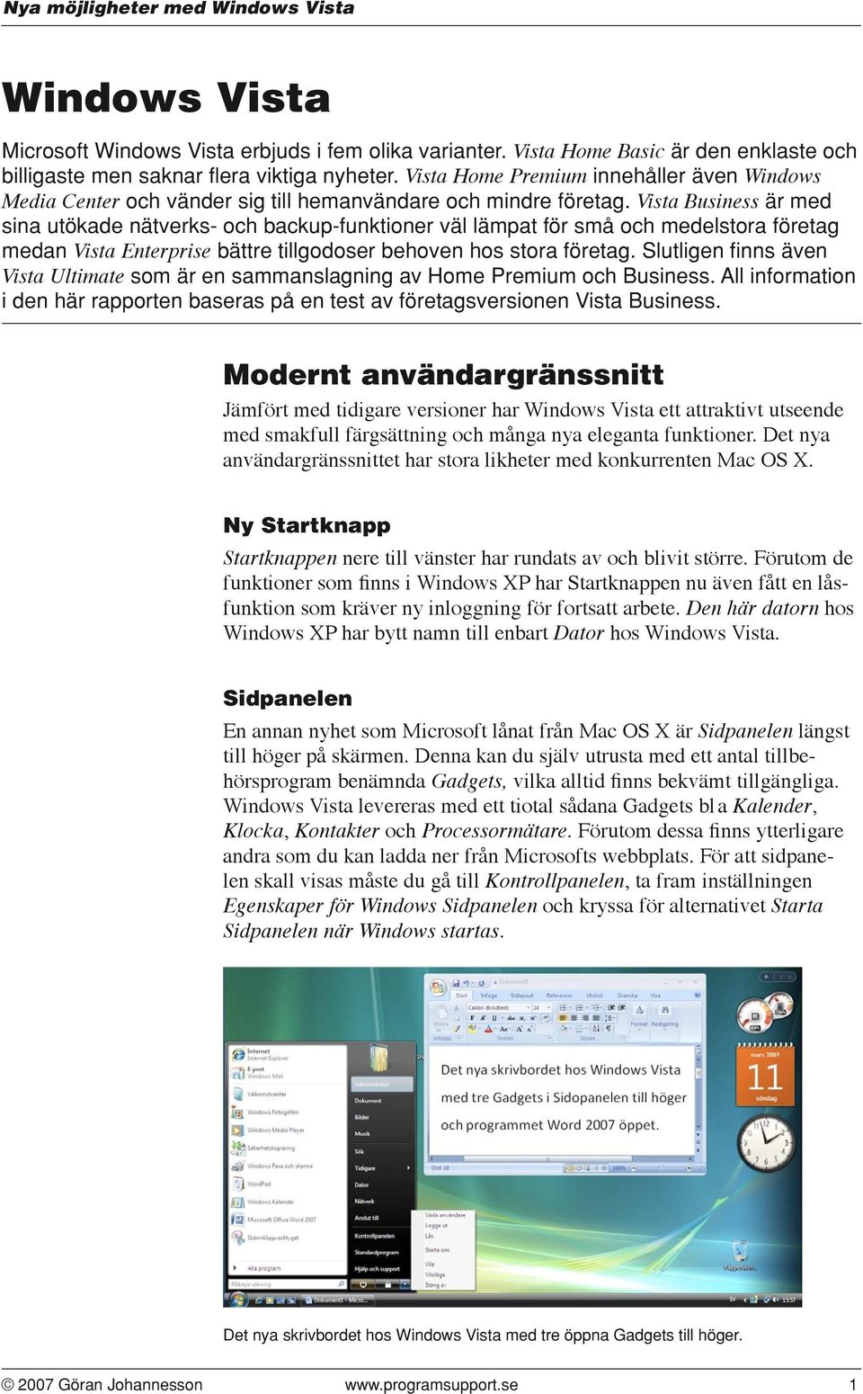 Vista Business är med sina utökade nätverks- och backup-funktioner väl lämpat för små och medelstora företag medan Vista Enterprise bättre tillgodoser behoven hos stora företag.