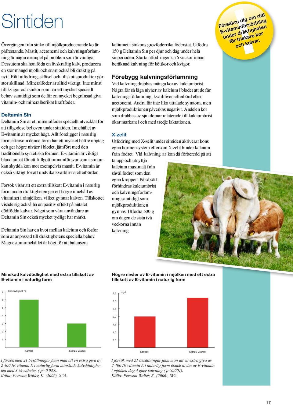 Mineralfoder är alltid viktigt. Inte minst till kvigor och sinkor som har ett mycket speciellt behov samtidigt som de får en mycket begränsad giva vitamin- och mineralberikat kraftfoder.