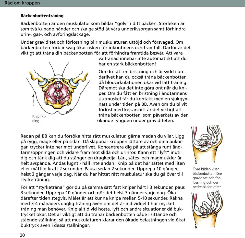 Om bäckenbotten förblir svag ökar risken för inkontinens och framfall. Därför är det viktigt att träna din bäckenbotten för att förhindra framtida besvär.