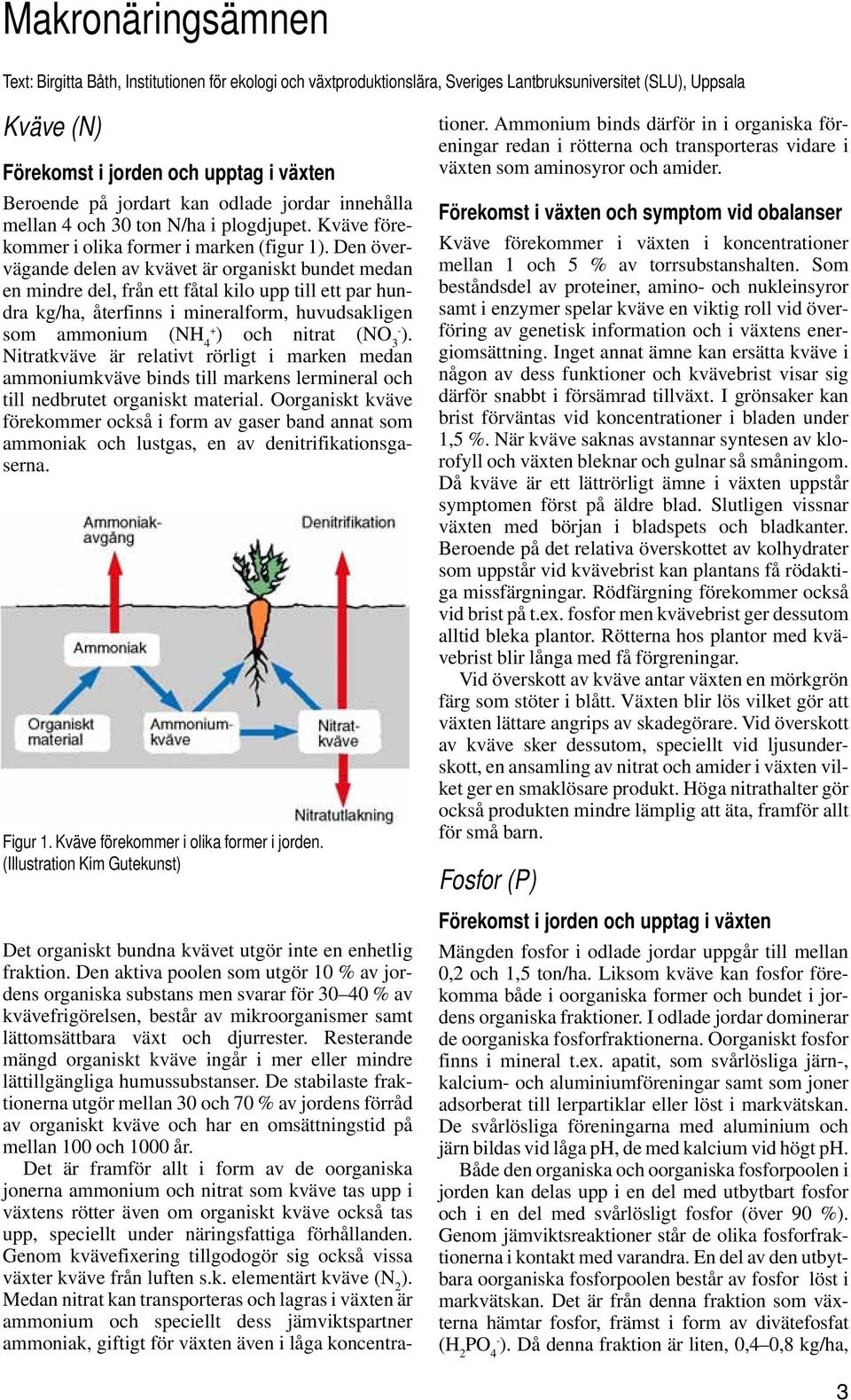 Den övervägande delen av kvävet är organiskt bundet medan en mindre del, från ett fåtal kilo upp till ett par hundra kg/ha, återfinns i mineralform, huvudsakligen som ammonium (NH 4+ ) och nitrat (NO