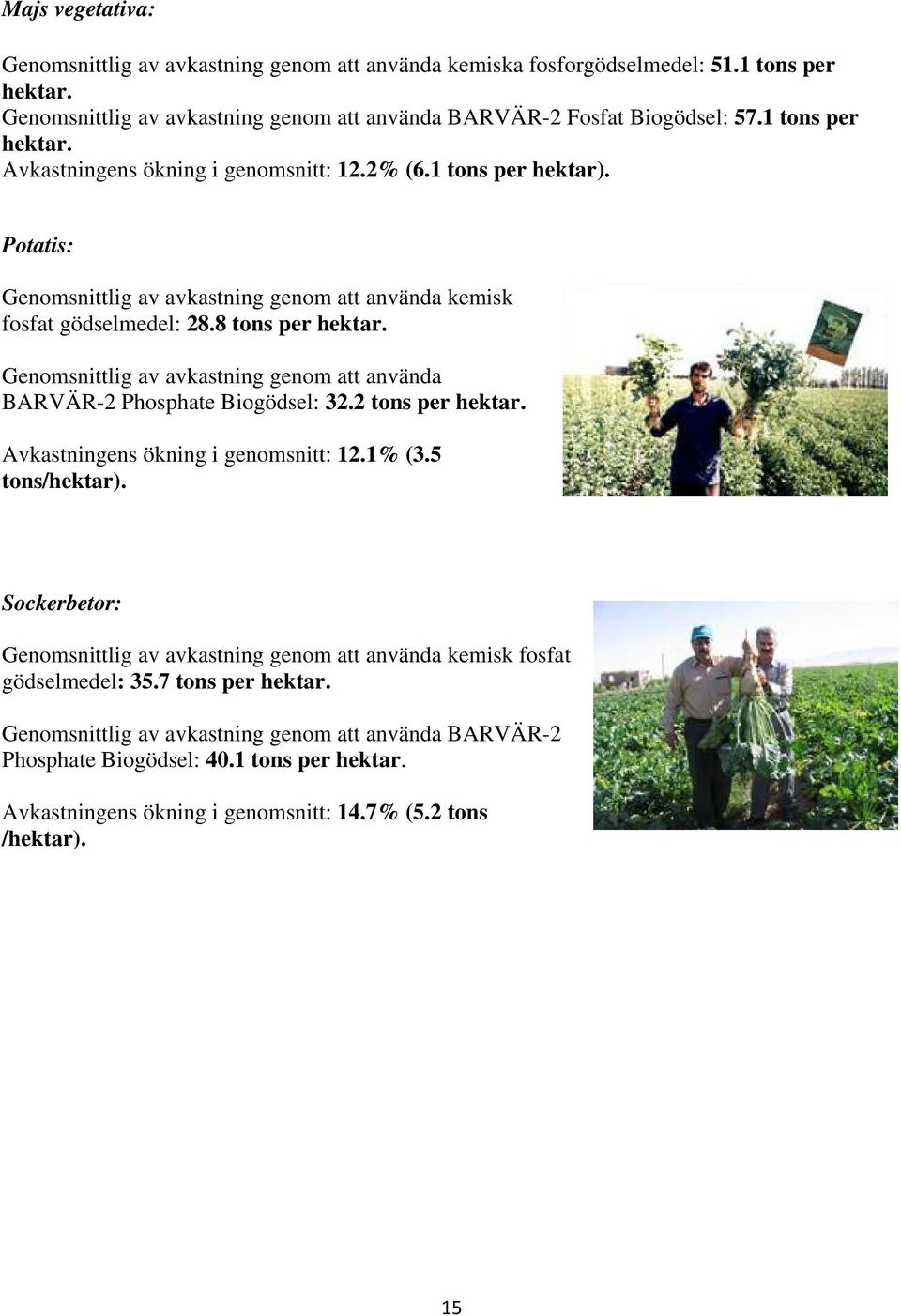 Genomsnittlig av avkastning genom att använda BARVÄR-2 Phosphate Biogödsel: 32.2 tons per hektar. Avkastningens ökning i genomsnitt: 12.1% (3.5 tons/hektar).