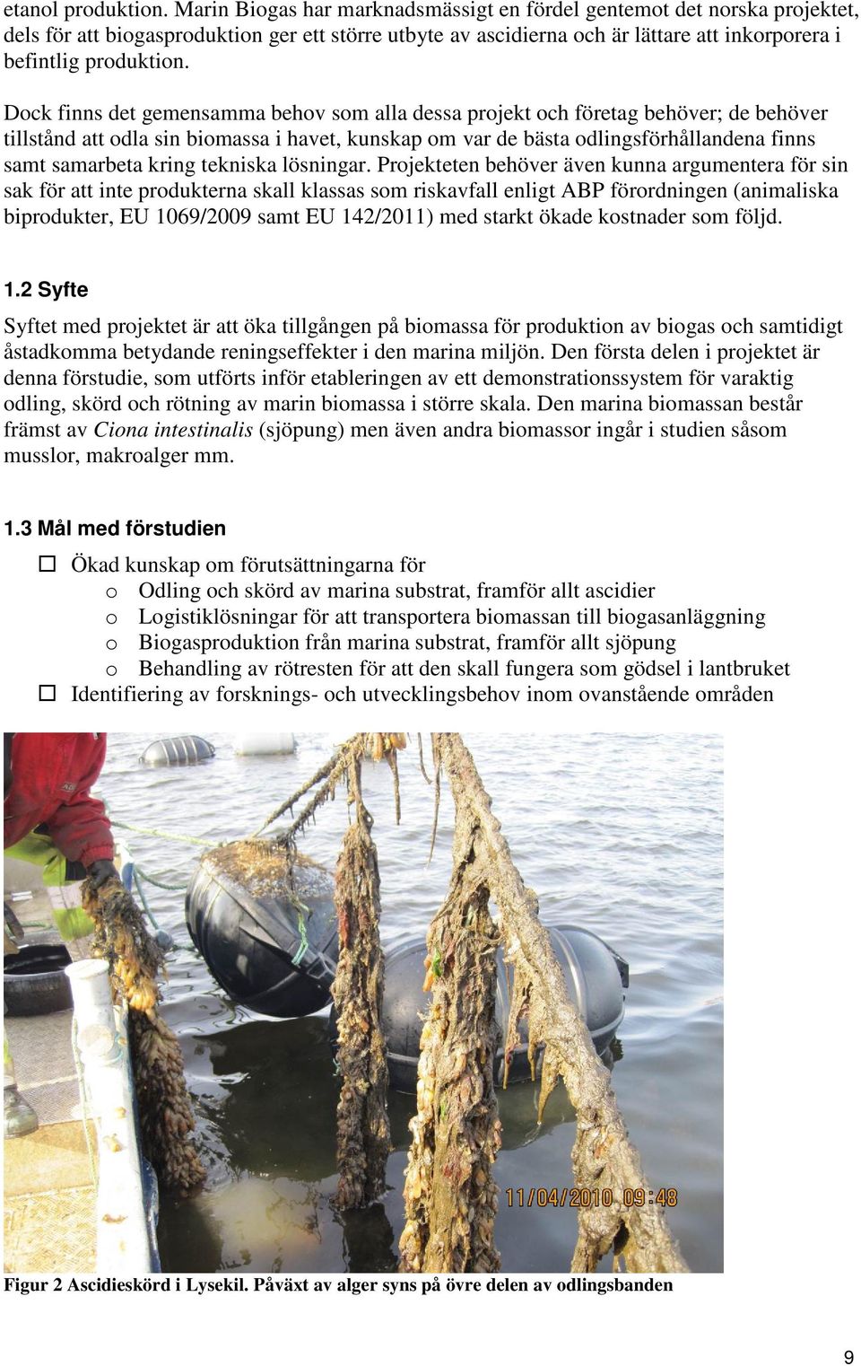 Dock finns det gemensamma behov som alla dessa projekt och företag behöver; de behöver tillstånd att odla sin biomassa i havet, kunskap om var de bästa odlingsförhållandena finns samt samarbeta kring