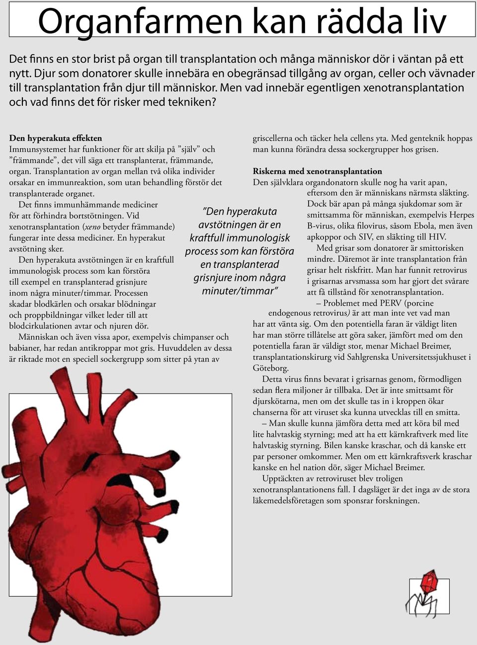 Men vad innebär egentligen xenotransplantation och vad finns det för risker med tekniken?