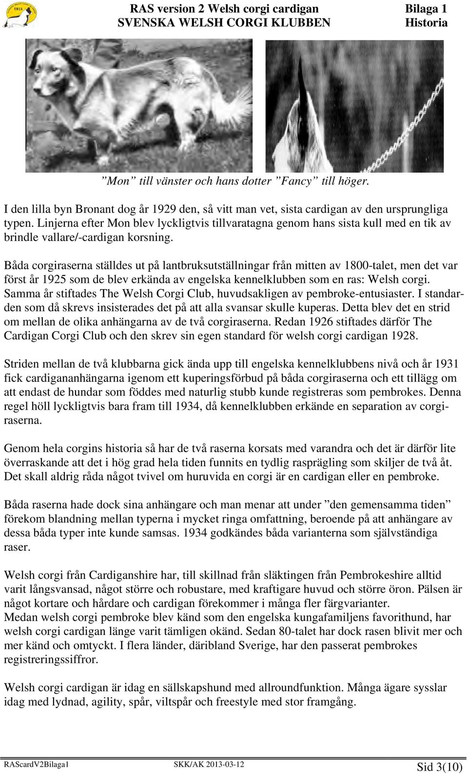 Båda corgiraserna ställdes ut på lantbruksutställningar från mitten av 1800-talet, men det var först år 1925 som de blev erkända av engelska kennelklubben som en ras: Welsh corgi.