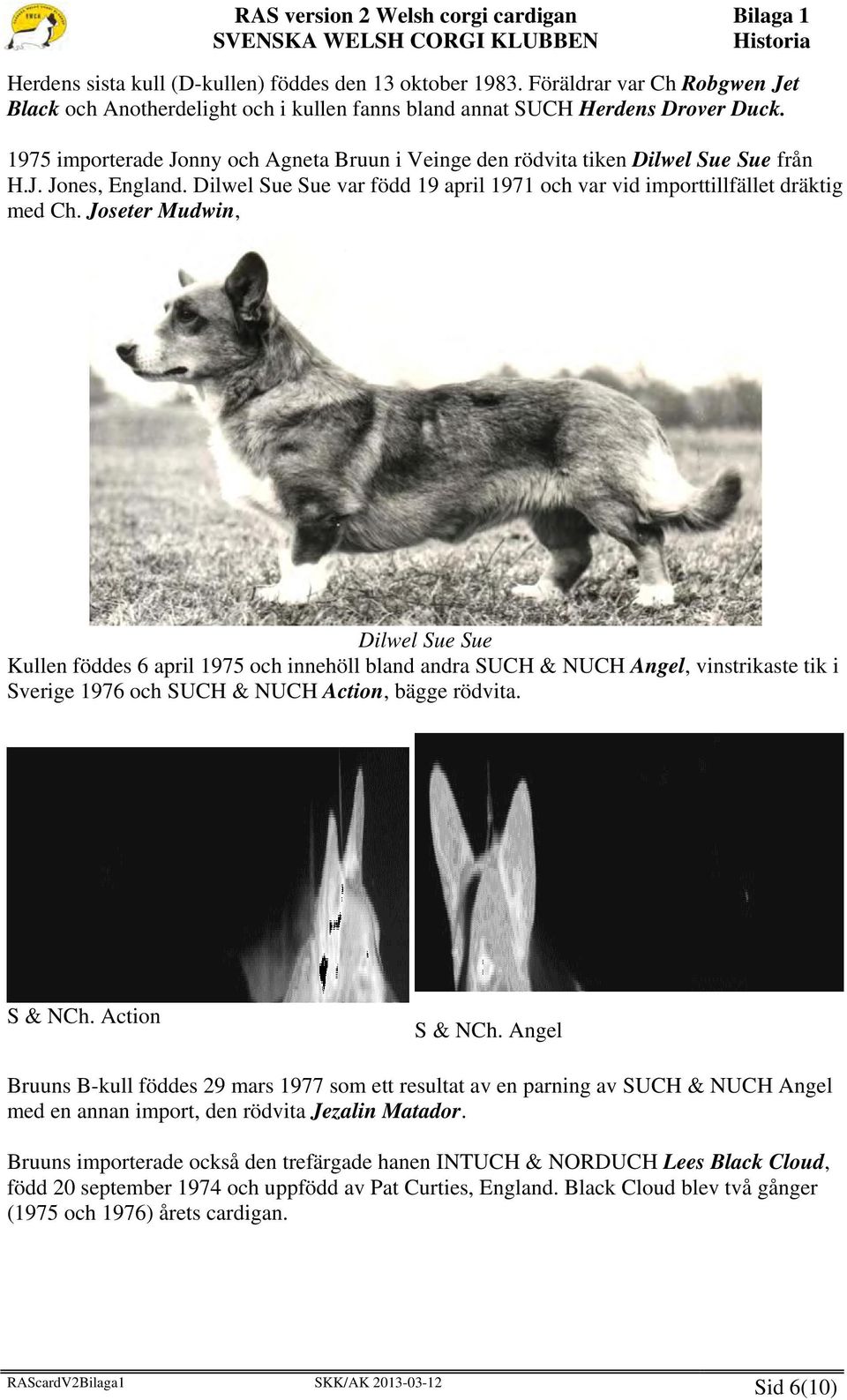 Joseter Mudwin, Dilwel Sue Sue Kullen föddes 6 april 1975 och innehöll bland andra SUCH & NUCH Angel, vinstrikaste tik i Sverige 1976 och SUCH & NUCH Action, bägge rödvita. S & NCh. Action S & NCh.