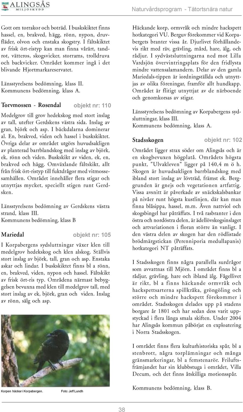 Torvmossen - Rosendal Medelgrov till grov hedekskog med stort inslag av tall, utefter Gerdskens västra sida. Inslag av gran, björk och asp. I bäckdalarna dominerar al.