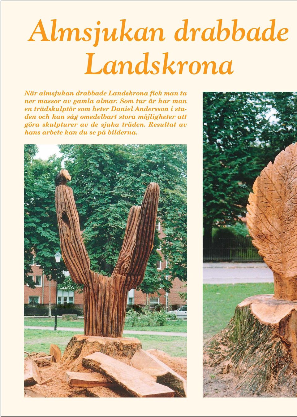 Som tur är har man en trädskulptör som heter Daniel Andersson i staden och