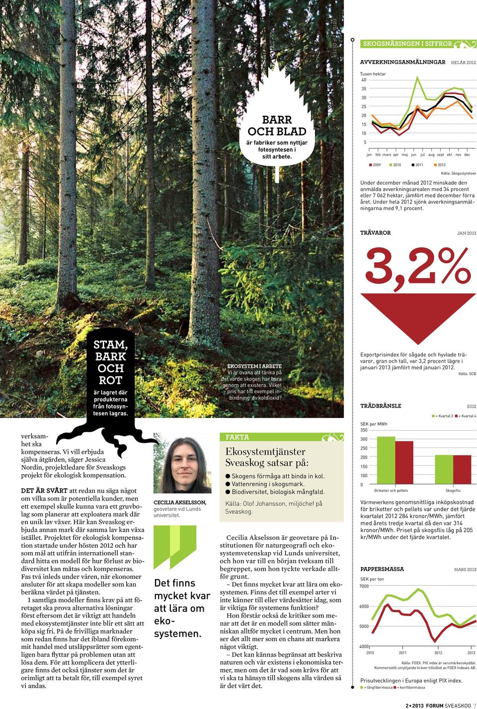 hektar, jämfört med december förra året. Under hela 2012 sjönk avverkningsanmälningarna med 9,1 procent. Trävaror Jan 2013 3,2% Stam, bark och rot är lagret där produkterna från fotosyntesen lagras.