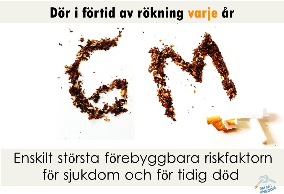 förebyggbara riskfaktorn