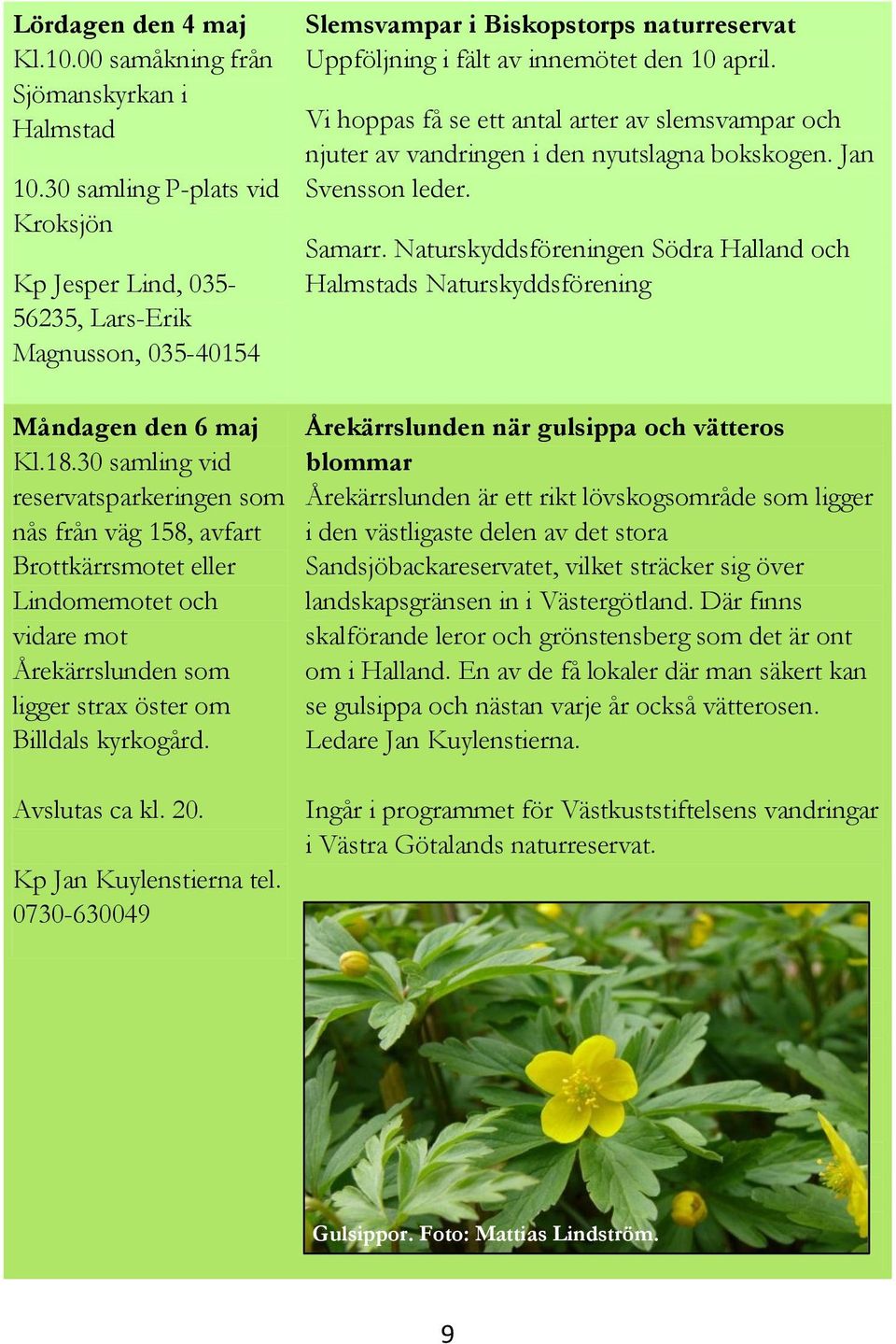 Kp Jan Kuylenstierna tel. 0730-630049 Slemsvampar i Biskopstorps naturreservat Uppföljning i fält av innemötet den 10 april.