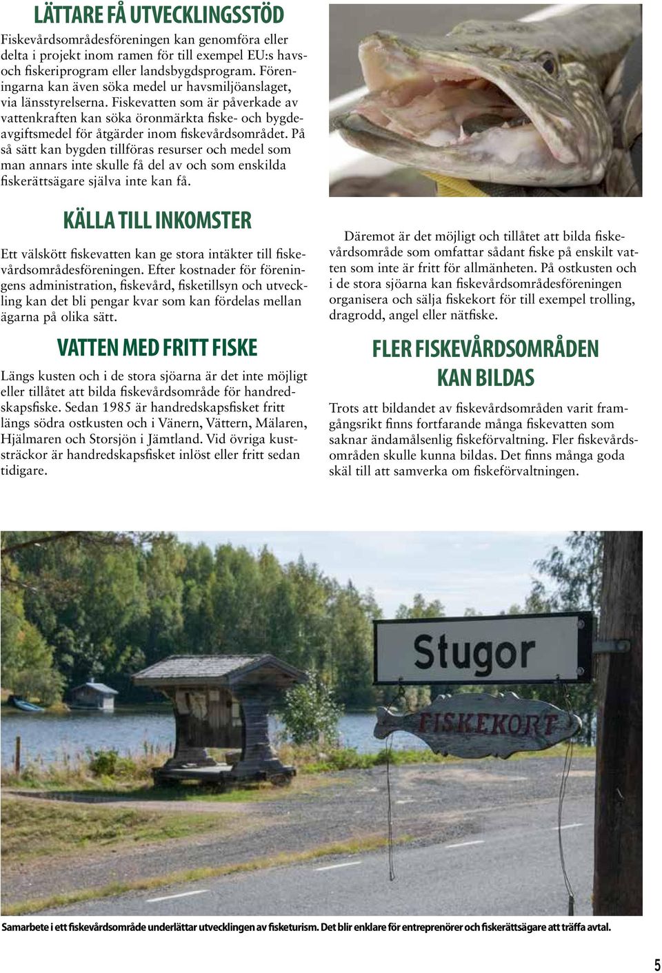 Fiskevatten som är påverkade av vattenkraften kan söka öronmärkta fiske- och bygdeavgiftsmedel för åtgärder inom fiskevårdsområdet.