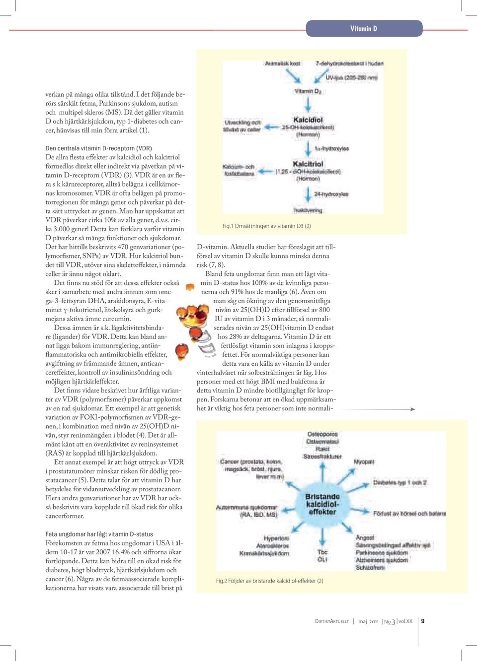 Den centrala vitamin D-receptorn (VDR) De allra flesta effekter av kalcidiol och kalcitriol förmedlas direkt eller indirekt via påverkan på vitamin D-receptorn (VDR) (3).