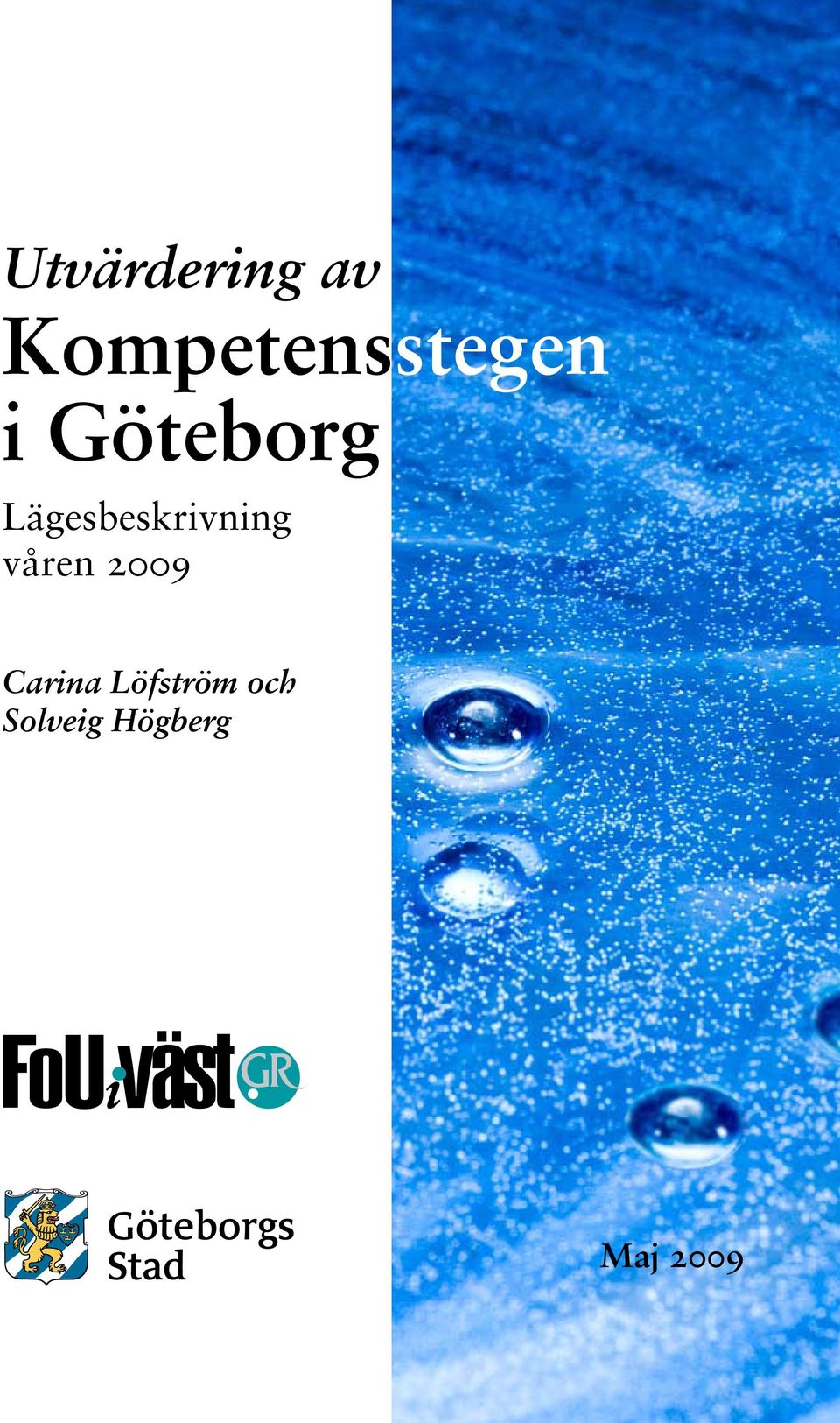 Lägesbeskrivning våren 2009