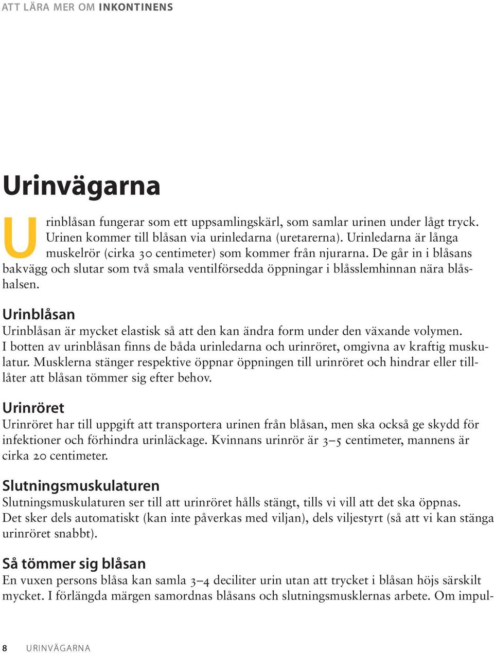 Urinblåsan Urinblåsan är mycket elastisk så att den kan ändra form under den växande volymen. I botten av urinblåsan finns de båda urinledarna och urinröret, omgivna av kraftig muskulatur.