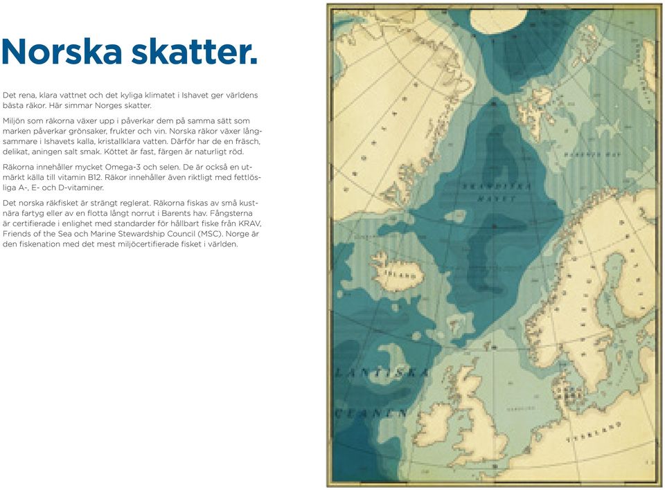 Därför har de en fräsch, delikat, aningen salt smak. Köttet är fast, färgen är naturligt röd. Räkorna innehåller mycket Omega-3 och selen. De är också en utmärkt källa till vitamin B12.