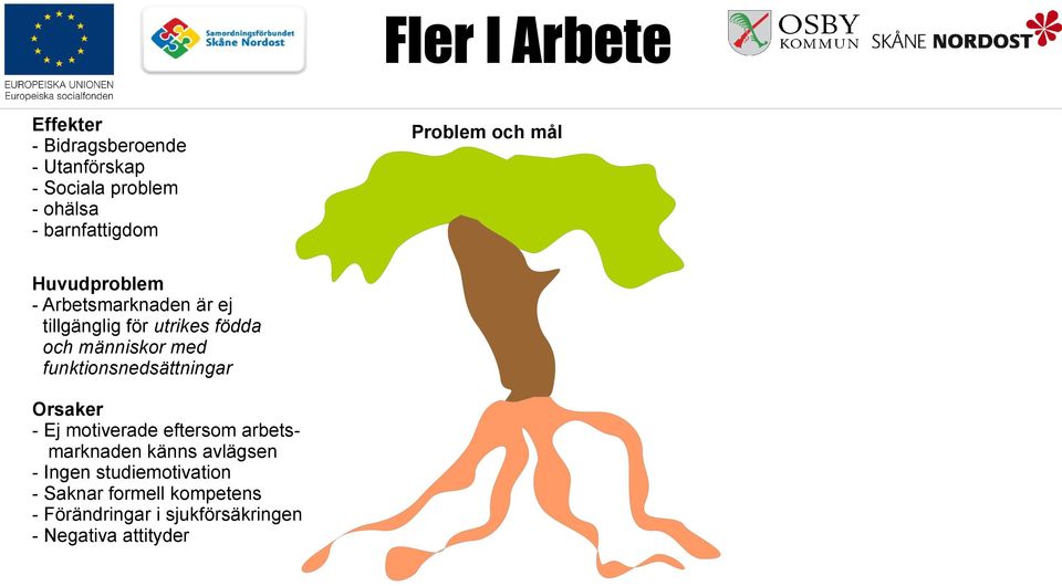 funktionsnedsättningar Orsaker - Ej motiverade eftersom arbetsmarknaden känns avlägsen - Ingen