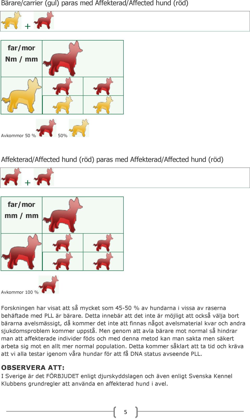 Detta innebär att det inte är möjligt att också välja bort bärarna avelsmässigt, då kommer det inte att finnas något avelsmaterial kvar och andra sjukdomsproblem kommer uppstå.