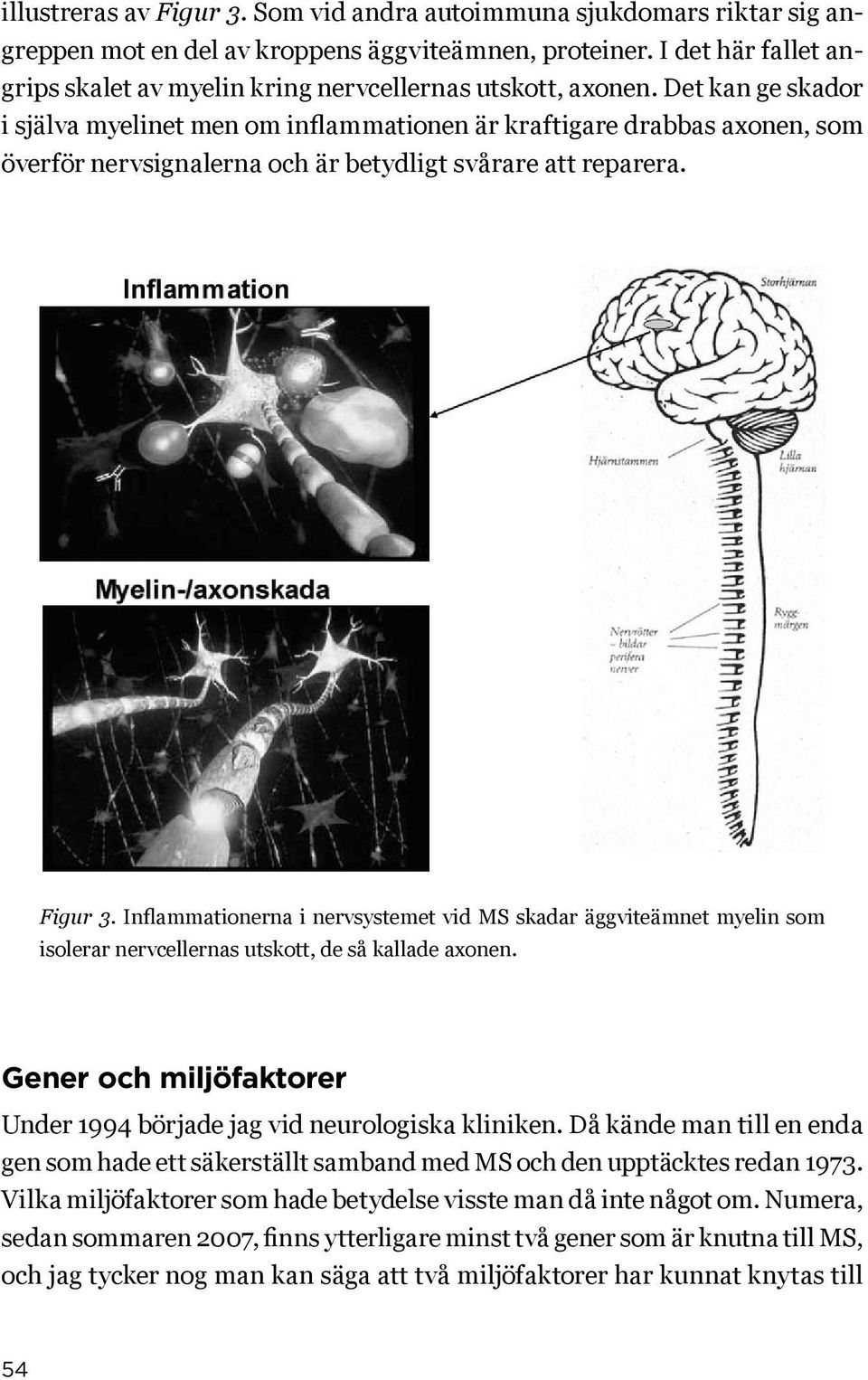 Det kan ge skador i själva myelinet men om inflammationen är kraftigare drabbas axonen, som överför nervsignalerna och är betydligt svårare att reparera. Figur 3.