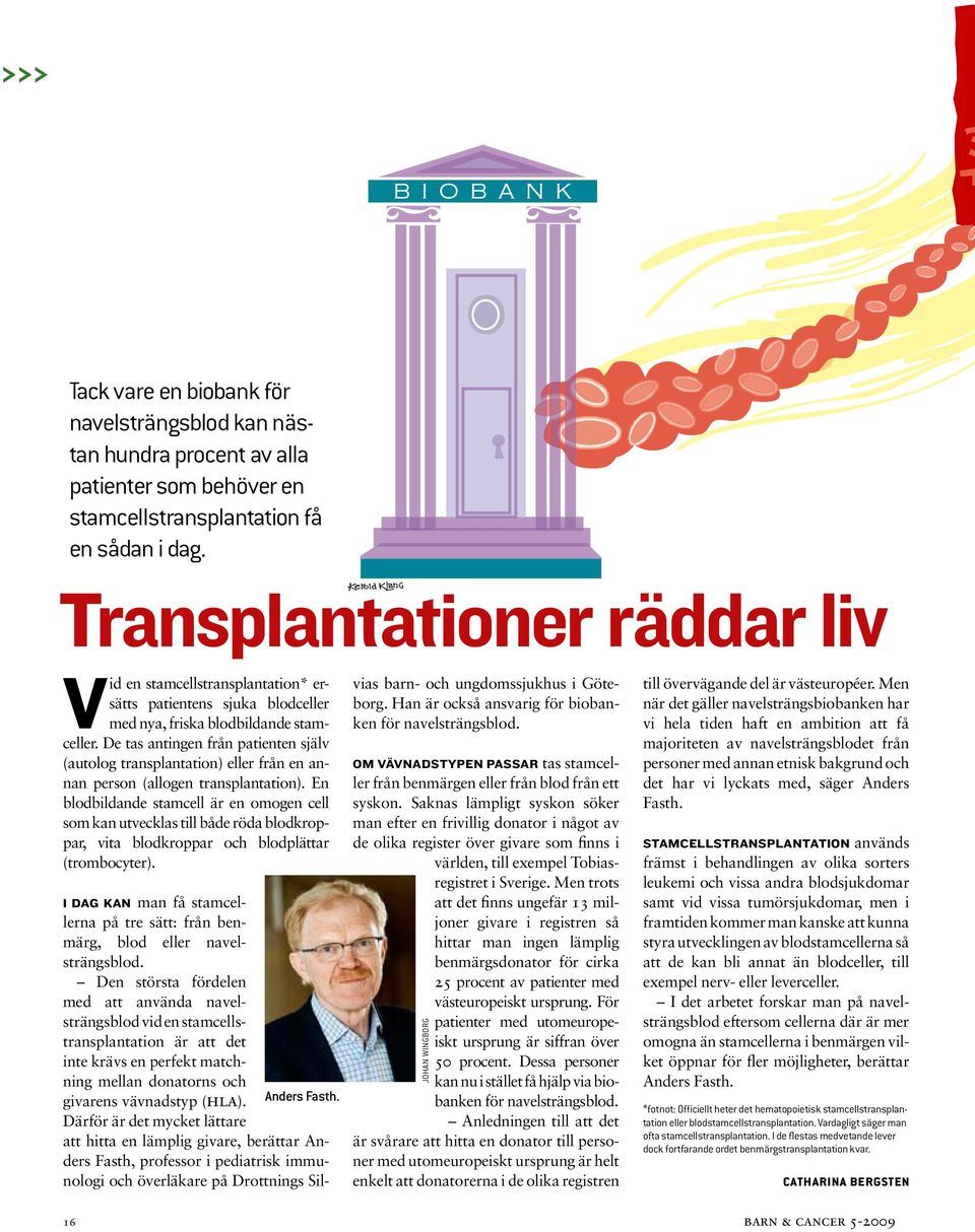 De tas antingen från patienten själv (autolog transplantation) eller från en annan person (allogen transplantation).