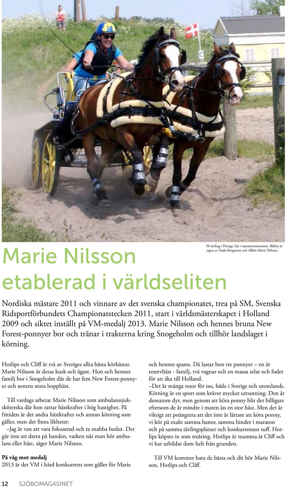 VM-medalj 2013. Marie Nilsson och hennes bruna New Forest-ponnyer bor och tränar i trakterna kring Snogeholm och tillhör landslaget i körning.