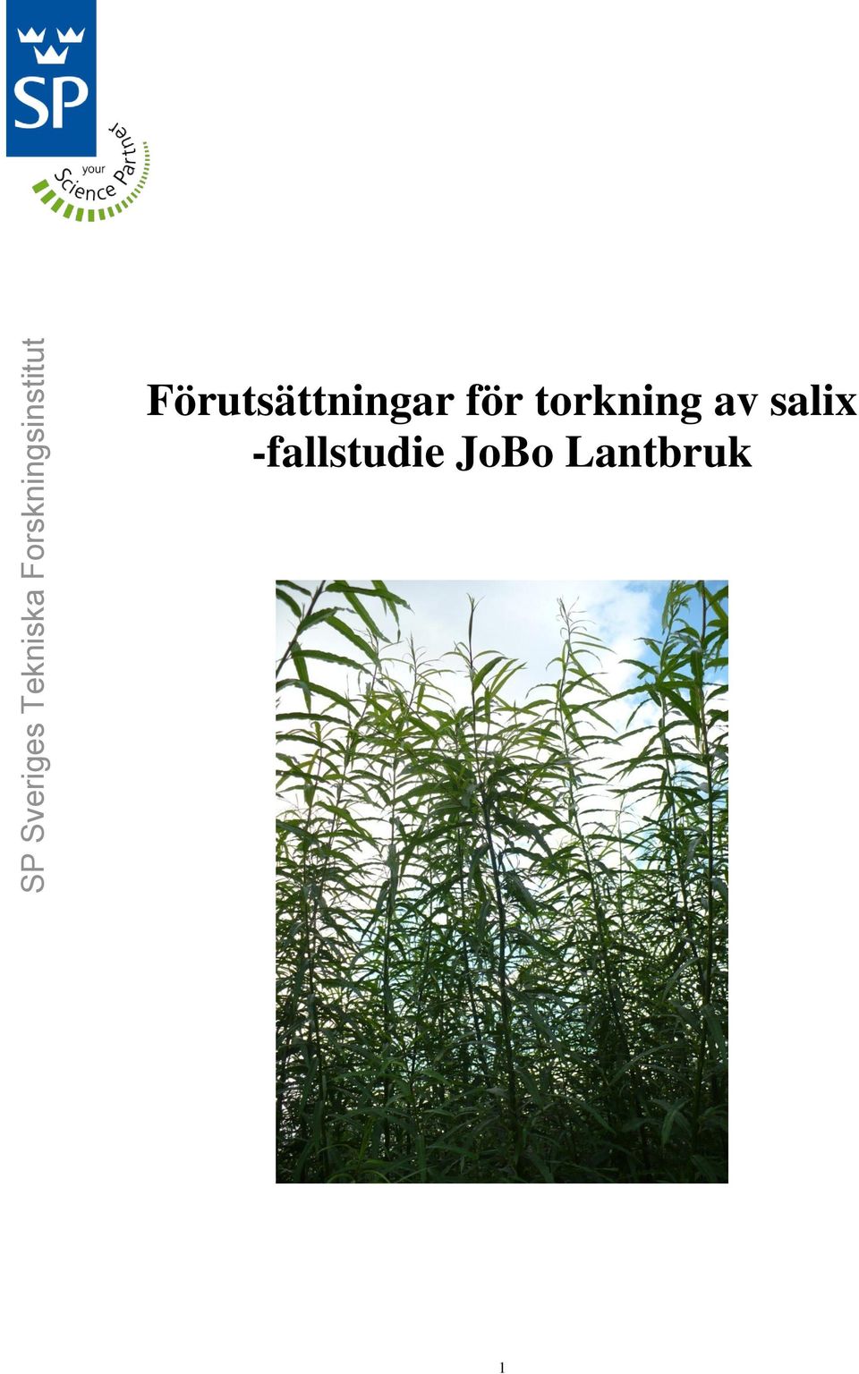 salix