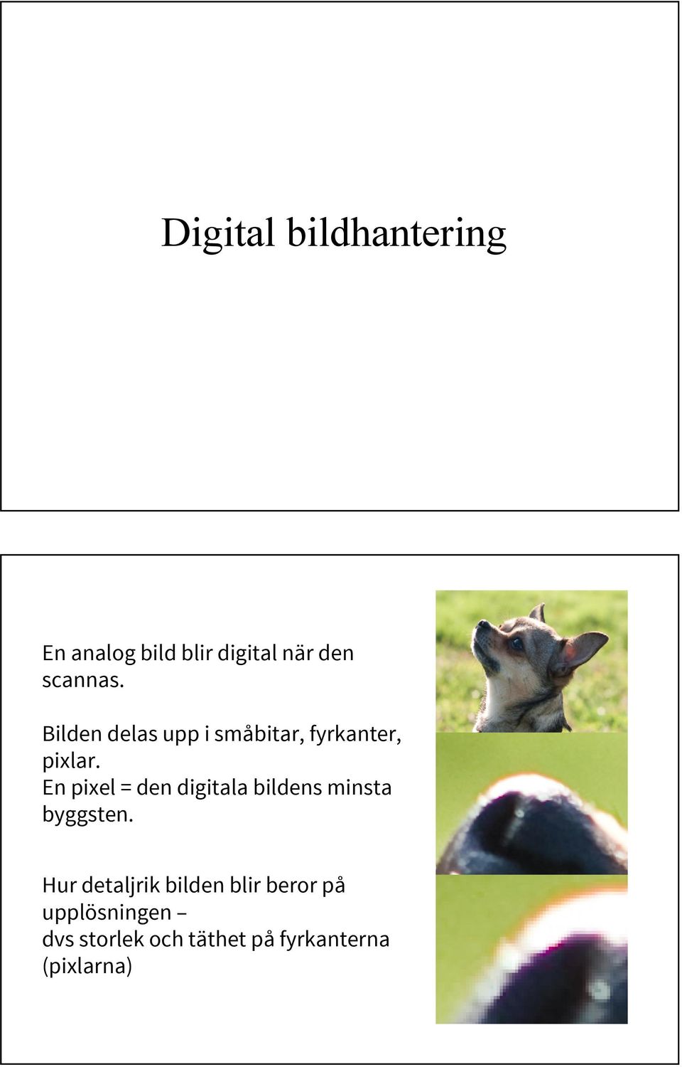 En pixel = den digitala bildens minsta byggsten.