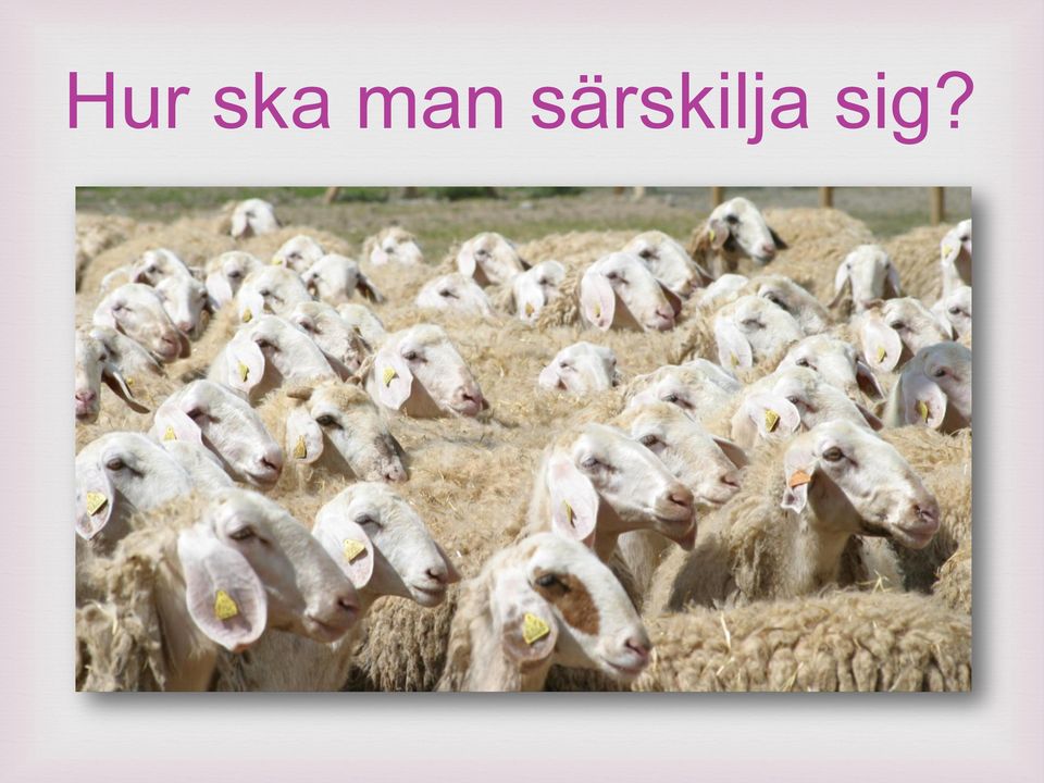 särskilja