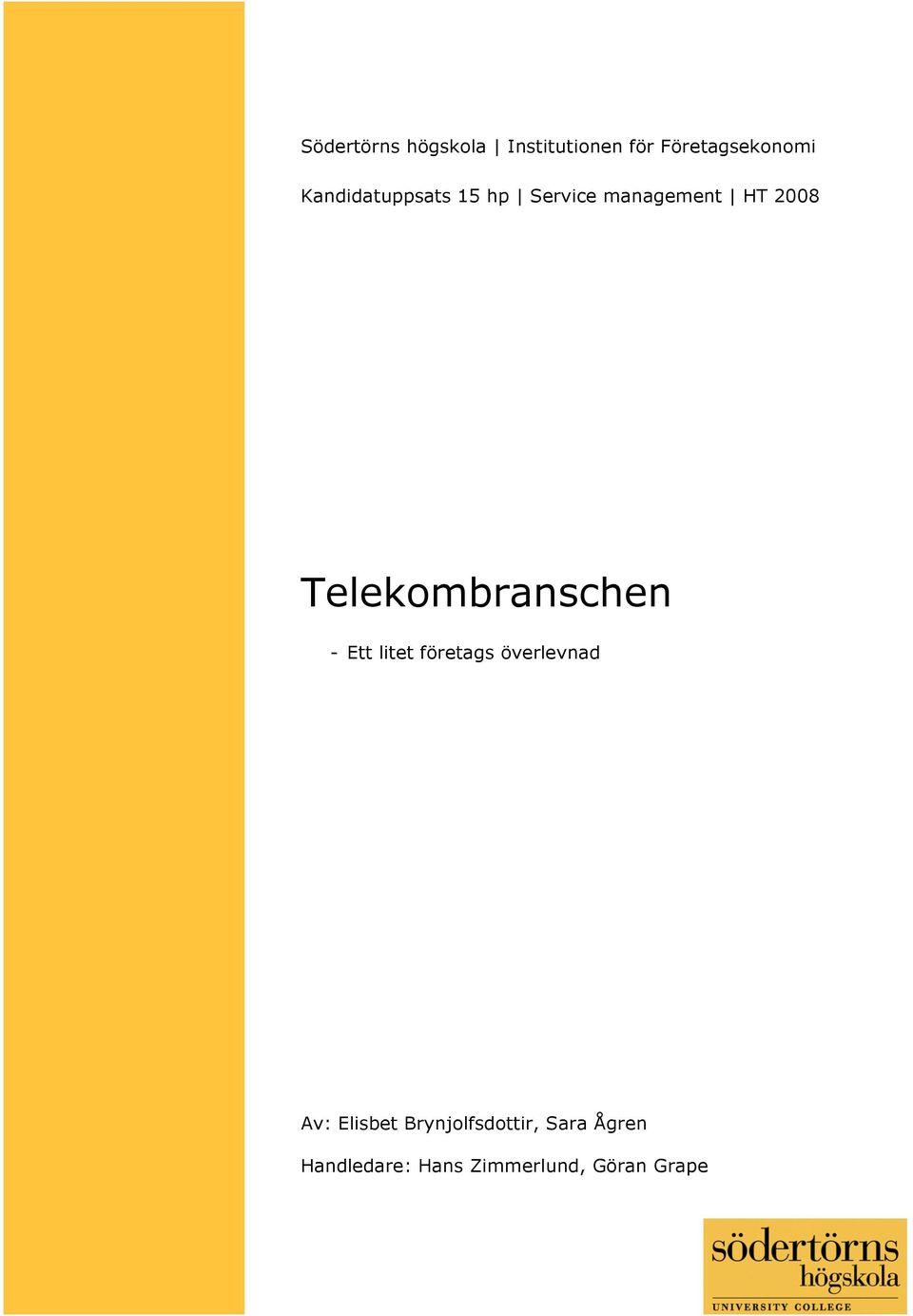 Logistik och Ekonomi Telekombranschen - Ett litet företags