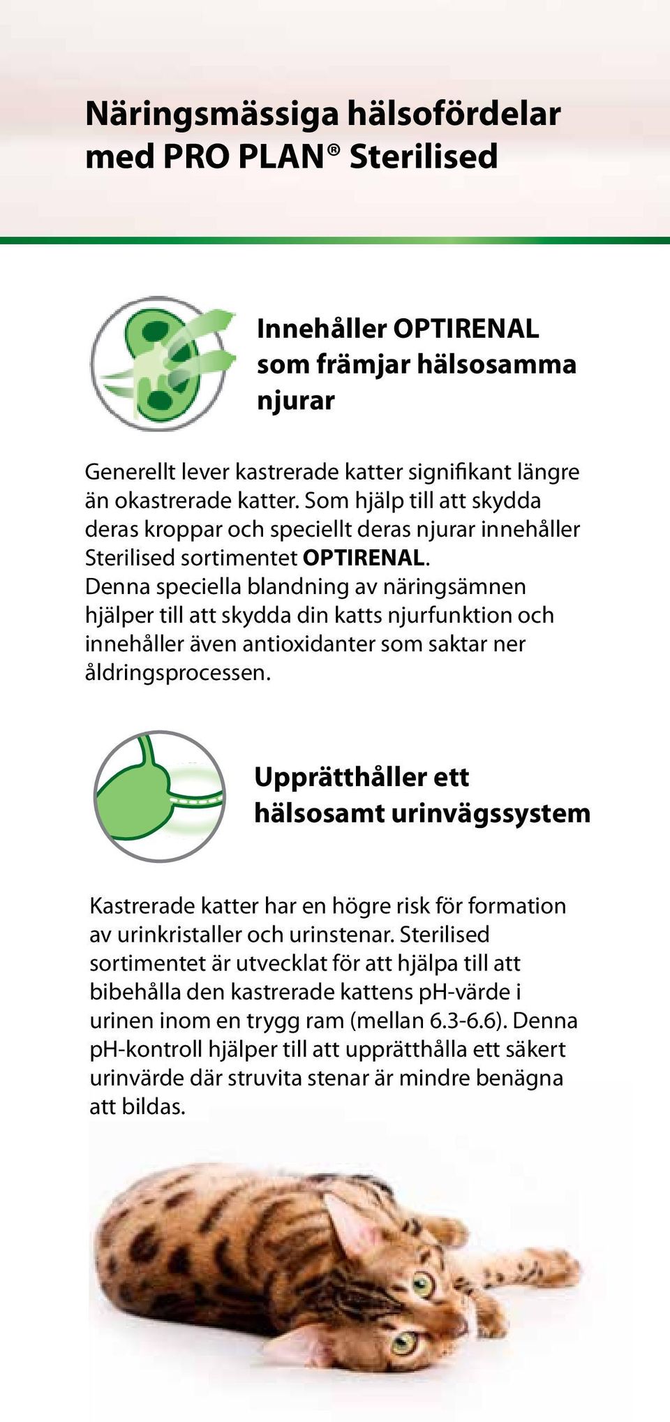 Denna speciella blandning av näringsämnen hjälper till att skydda din katts njurfunktion och innehåller även antioxidanter som saktar ner åldringsprocessen.