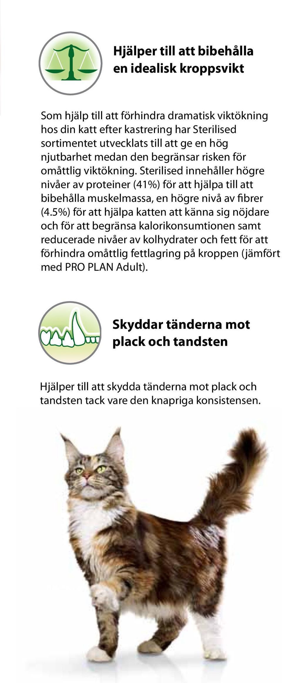 Sterilised innehåller högre nivåer av proteiner (41%) för att hjälpa till att bibehålla muskelmassa, en högre nivå av fibrer (4.