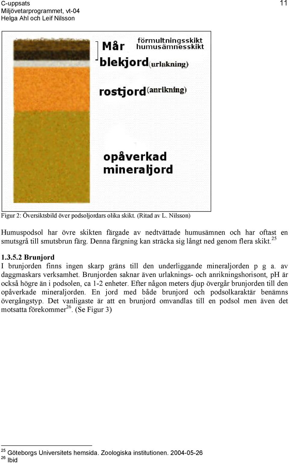 Brunjorden saknar även urlaknings- och anrikningshorisont, ph är också högre än i podsolen, ca 1-2 enheter. Efter någon meters djup övergår brunjorden till den opåverkade mineraljorden.