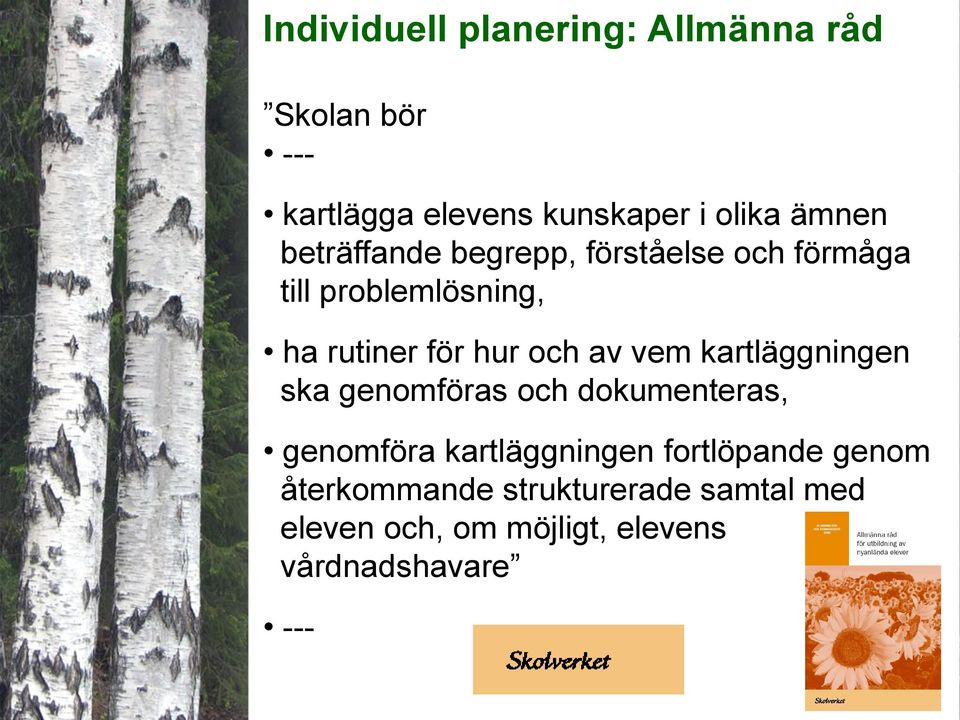 och av vem kartläggningen ska genomföras och dokumenteras, genomföra kartläggningen
