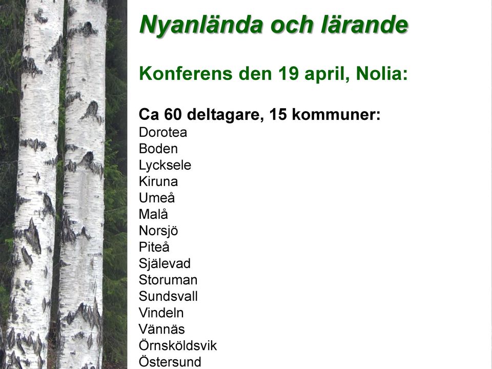 Storuman Sundsvall Vindeln Vännäs Örnsköldsvik
