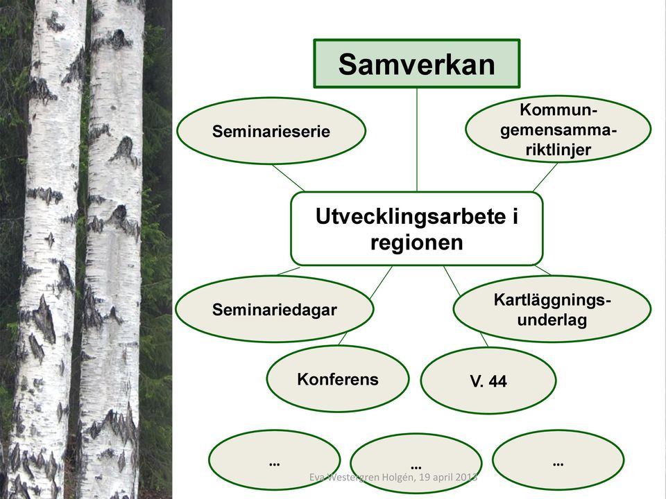 Kommungemensammariktlinjer