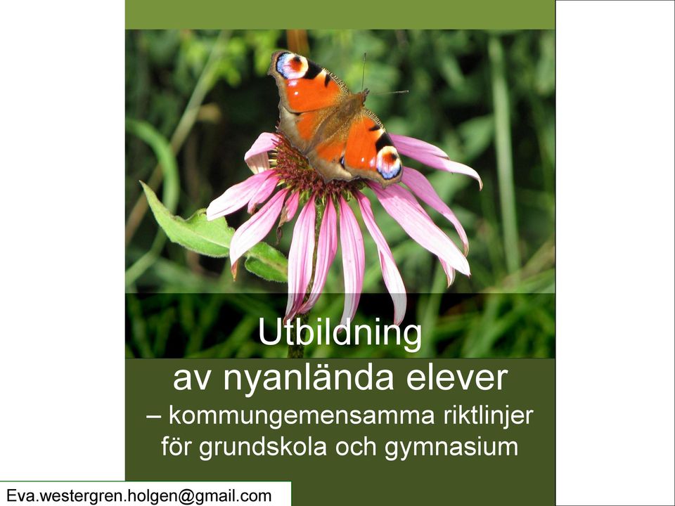 elever kommungemensamma