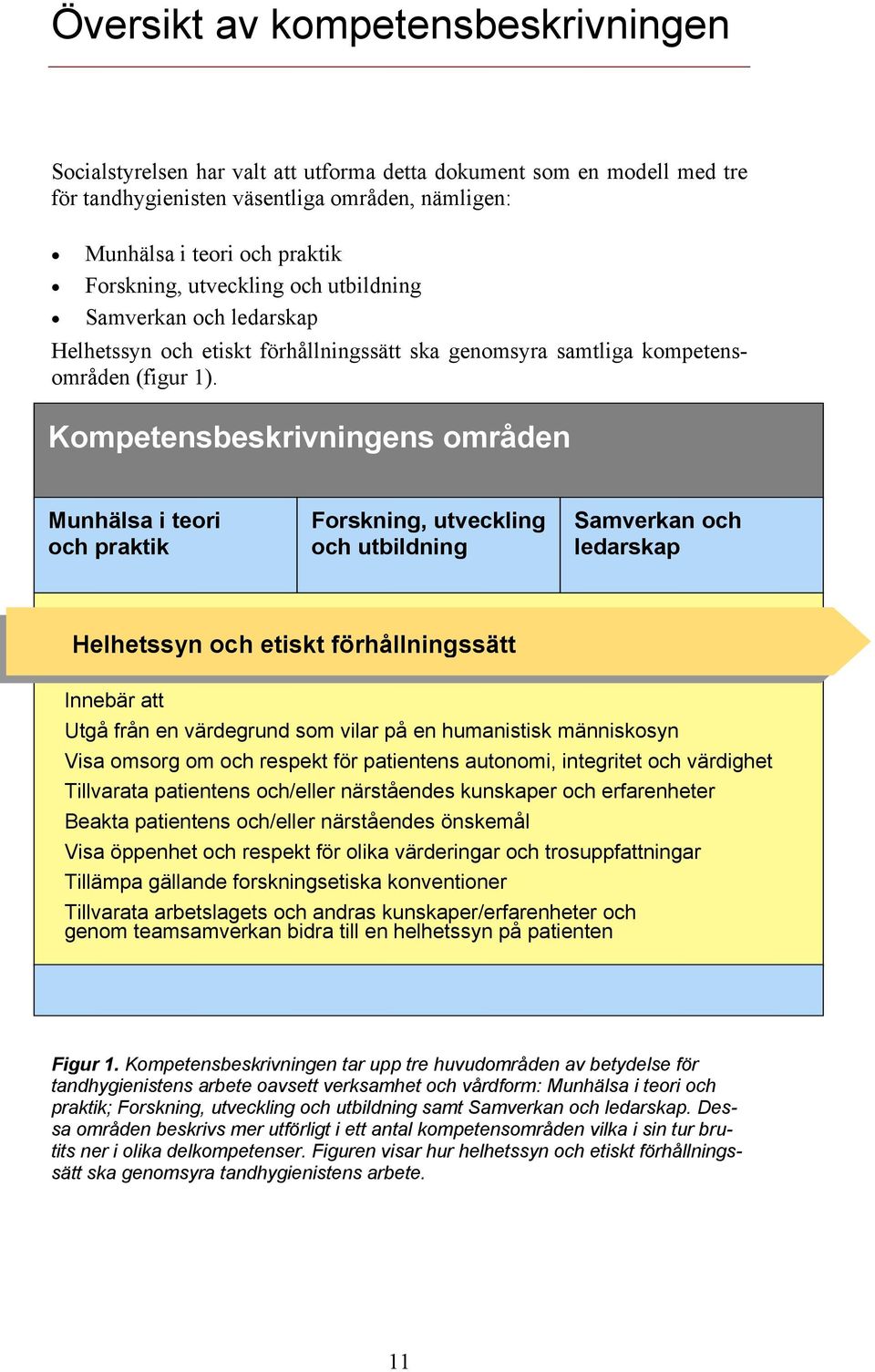 Kompetensbeskrivningens områden Munhälsa i teori och praktik Forskning, utveckling och utbildning Samverkan och ledarskap Helhetssyn och etiskt förhållningssätt Innebär att Utgå från en värdegrund