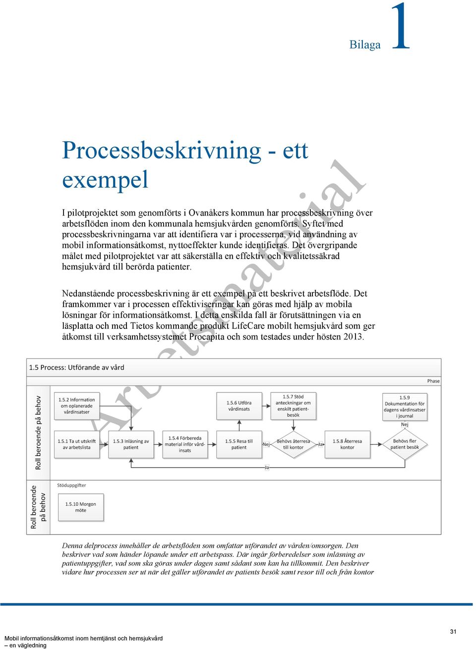 Det övergripande målet med pilotprojektet var att säkerställa en effektiv och kvalitetssäkrad hemsjukvård till berörda patienter.