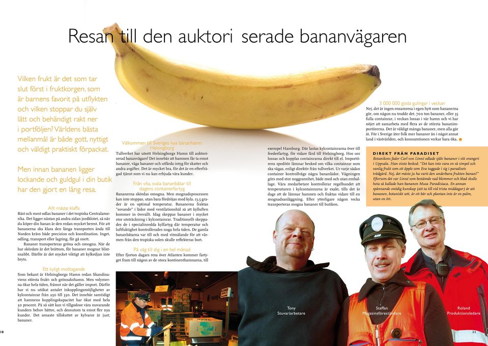 Allt måste klaffa Bäst och mest odlas bananer i det tropiska Centralamerika. Det ligger nästan på andra sidan jordklotet, så när du köper din banan är den redan mycket berest.