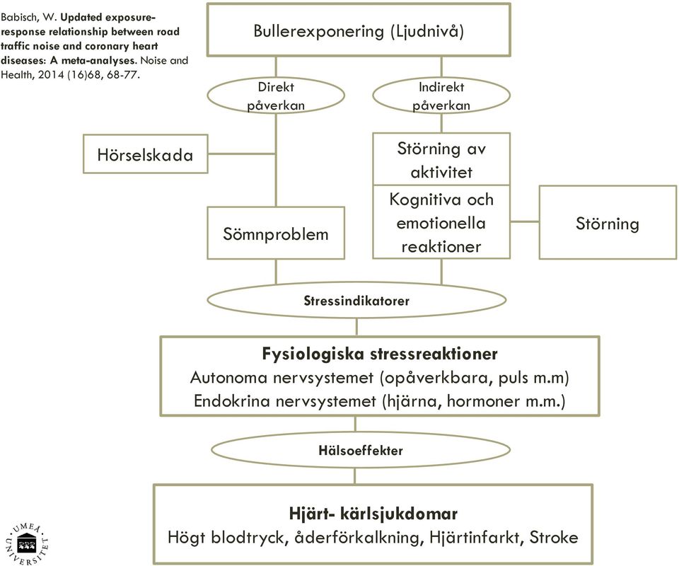 Bullerexponering (Ljudnivå) Direkt påverkan Indirekt påverkan Hörselskada Sömnproblem Störning av aktivitet Kognitiva och emotionella