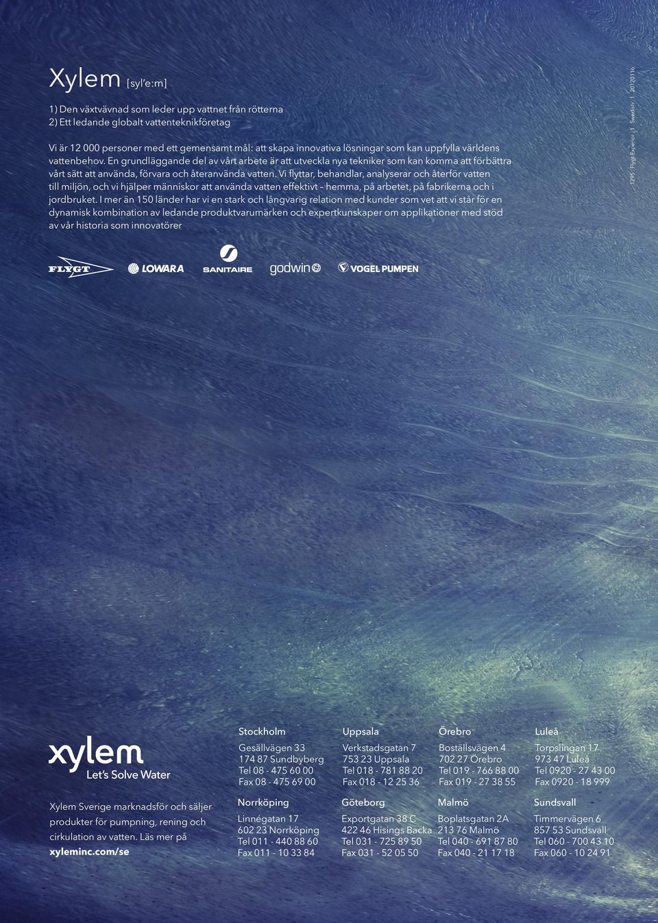 20120116 Xylem [syl e:m] 1) Den växtvävnad som leder upp vattnet från rötterna 2) Ett ledande globalt vattenteknikföretag Vi är 12 000 personer med ett gemensamt mål: att skapa innovativa lösningar