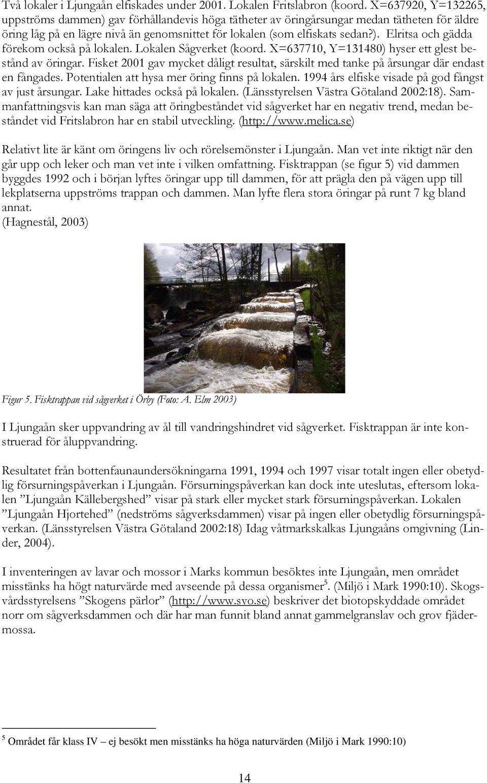 Lokalen Sågverket (koord. X=637710, Y=131480) hyser ett glest bestånd av öringar. Fisket 2001 gav mycket dåligt resultat, särskilt med tanke på årsungar där endast en fångades.