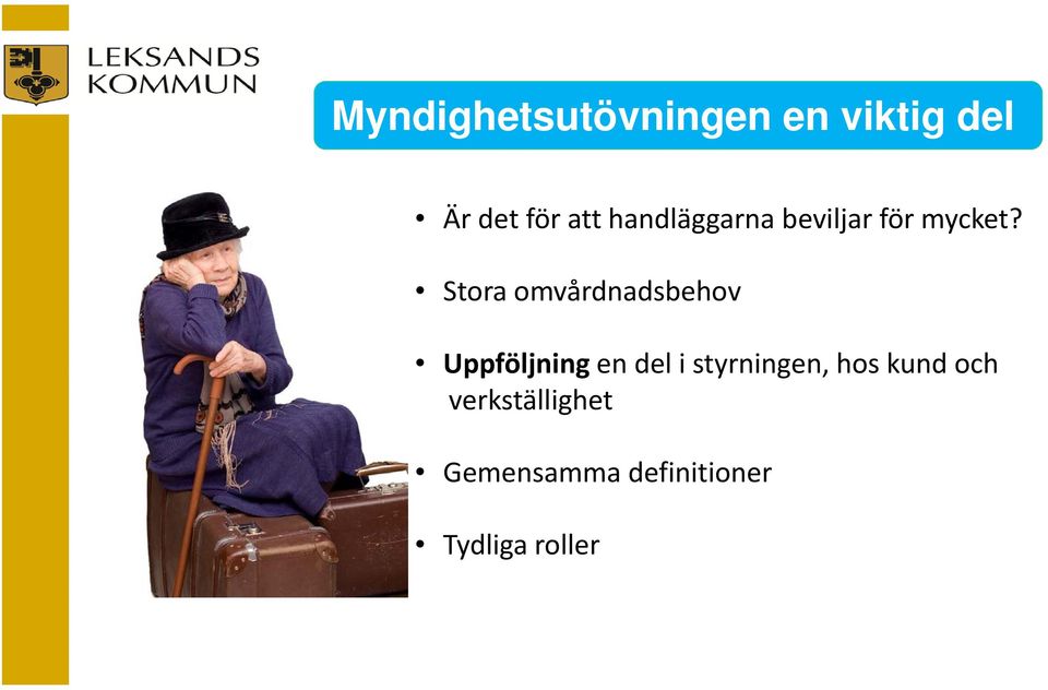 Stora omvårdnadsbehov Uppföljning en del i