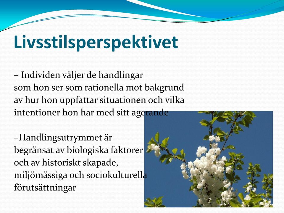 intentioner hon har med sitt agerande Handlingsutrymmet är begränsat av