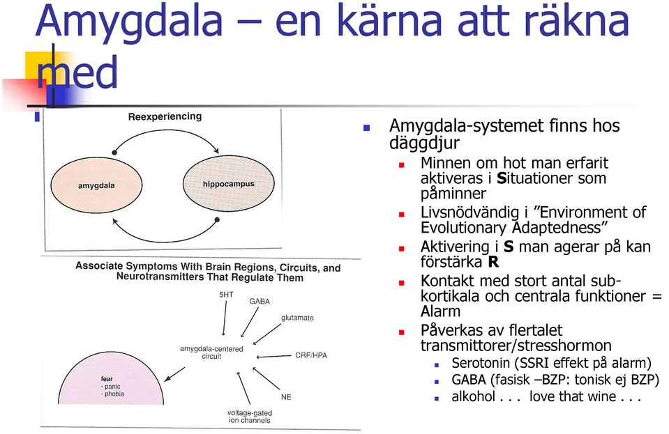 kan förstärka R Kontakt med stort antal subkortikala och centrala funktioner = Alarm Påverkas av flertalet