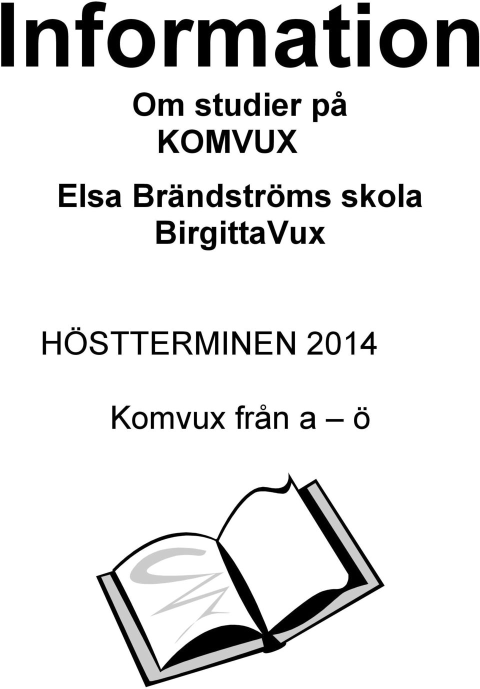 skola BirgittaVux